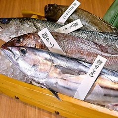 素材の魅力を引き出した逸品料理の数々をご賞味ください