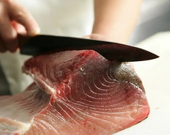 厳選食材を使用