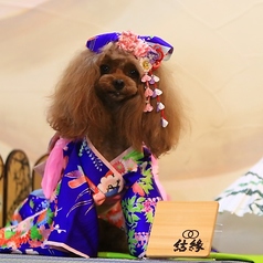 竹と和食 結縁のおすすめポイント1