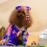 竹と和食 結縁のおすすめポイント1