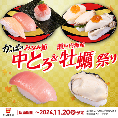 　『かっぱのみなみ鮪中とろ＆瀬戸内海産 牡蠣祭り』開催