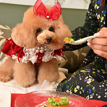 Latere Garden(ラテレガーデン)横浜の雰囲気1