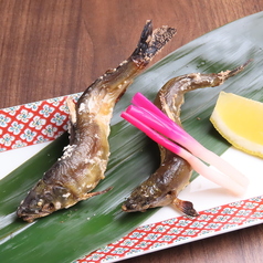 本日の焼き魚