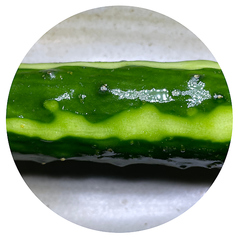 まるごとキュウリ