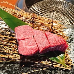特撰ヒレ