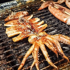 するめいか味噌漬け焼き