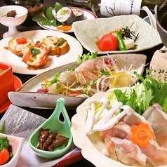 創作酒膳 彩華 SAIKA特集写真1