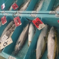 確かな目利きで仕入れた自慢の鮮魚をお楽しみください