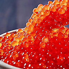 居酒屋 囲 四条大宮駅前店特集写真1