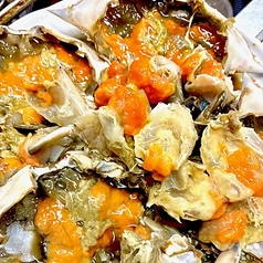 すすきの 韓国料理 SASSYU サッシュのコース写真