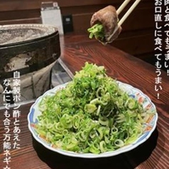 山盛りネギ