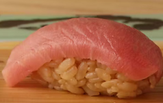 お寿司おまかせ