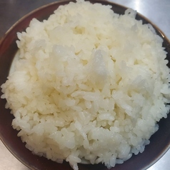 ライス(大)