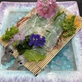 料理メニュー写真&nbsp;呼子いか活造り