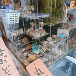 当店生簀より新鮮な魚貝のご注文ができます！！