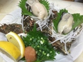 料理メニュー写真 天然岩牡蠣