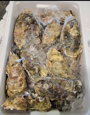 海鮮居酒屋 あぺたいと 上板橋店のコース写真