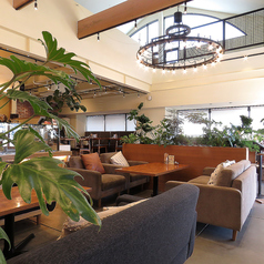 ふかふかのソファ席でくつろぎながら、季節のスイーツとスペシャルティコーヒーを堪能できるおしゃれカフェ。女子会やデートにもおすすめの、甘くて優しい空間です。