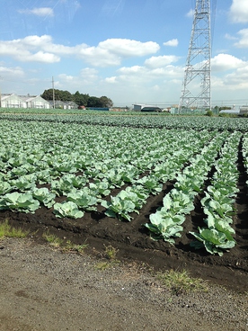 スエッコ $uekkoのおすすめ料理1