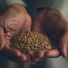 一粒の米から、丁寧に