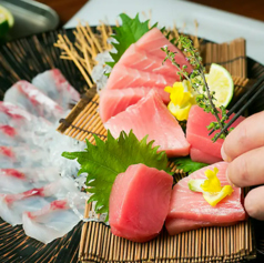 釣り好きが選ぶ旬の魚達