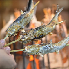 大トロいわし