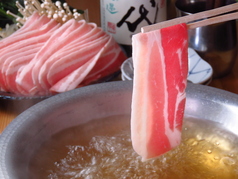 shigi38 シギサンジュウハチの特集写真