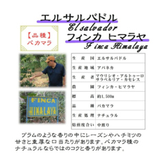 エルサルバドル フィンカ・ヒマラヤ・パカマラ