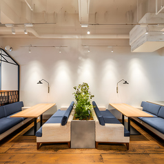 ゆったり語り合いたい女子会やデートに最適なソファー席。横並びで座れる距離感が心地よく、落ち着いた照明で会話も弾む人気スペース。スイーツタイムやゆっくり食事を楽しむシーンにもぴったりです。