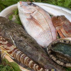 魚彩 なかもとの写真3