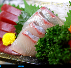 地鶏と鮮魚よかたい 晴海トリトン店のコース写真