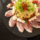 厚切りの豚肉を囲むように、シャキシャキのもやしや青菜、もちもちのトッポギをたっぷり盛り付け。火が入るにつれて肉の脂と野菜の旨みが溶け合い、香ばしい香りが食欲を刺激します。彩り豊かな具材を一度に味わえ、これだけでも満足感は十分。みんなで囲めば、焼き上がりを待つ時間までゆっくり楽しく過ごせます♪