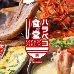 Korean Dining ハラペコ食堂 裏天王寺店の写真