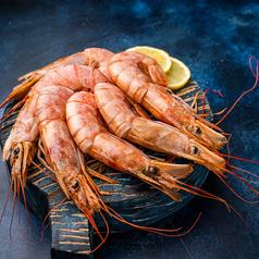 赤海老、その他海老