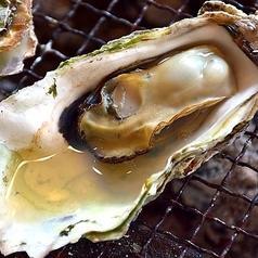 囲 KAKOIの雰囲気1