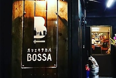 ガマエキサカバ BOSSAの写真