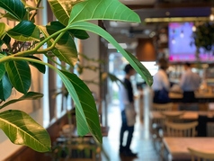 FARMERS GARDEN Cafe ファーマーズガーデンカフェ オムレットの雰囲気3