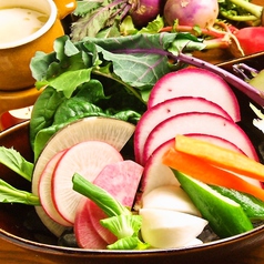 【柏の野菜を美味しく食べよう♪】こだわり野菜のバーニャカウダの写真