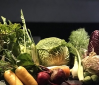 季節のお野菜