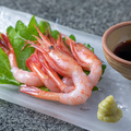 料理メニュー写真&nbsp;海老好き必見、福井直送赤海老（刺身or焼）（1匹）