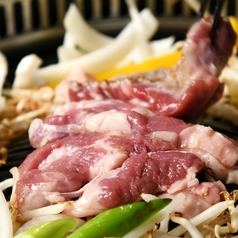 北海道産の新鮮なラム肉を是非ご賞味ください