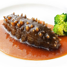 ◇ナマコ