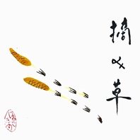 ようこそお越し下さいました…