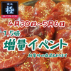 焼肉 極 柏