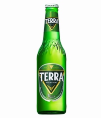 韓国ビール(TERRA)