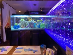 温菜創彩ダイニング Shun 都賀店 店舗画像