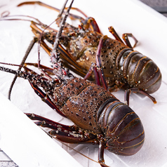 酒処　かどやの写真2