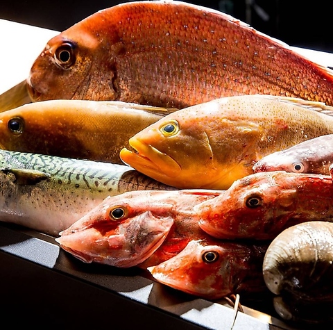 さかなとワイン うぉんたな VARIO