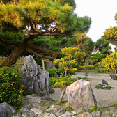 手入れの行き届いた美しい日本庭園をお楽しみください。