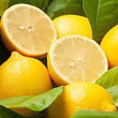 創作20種類のつくね専門店 つくねベイベー 八重洲店の特集写真